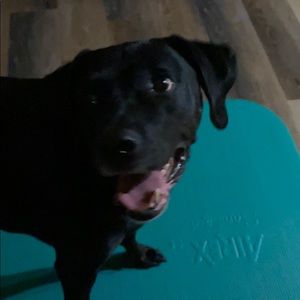 Meet your Posher, Grant